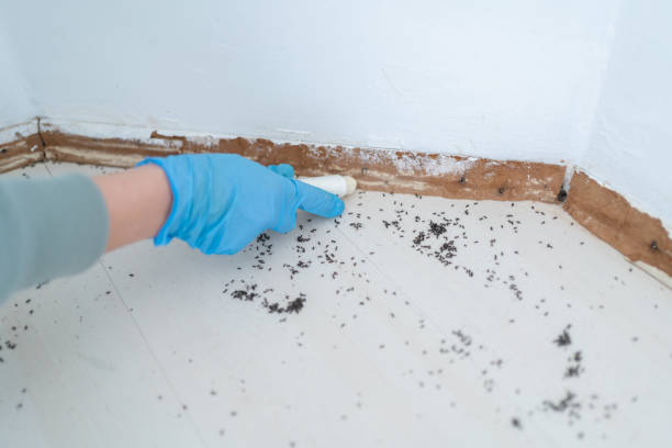 Best Affordable Pest Control Services  in Blair, WI